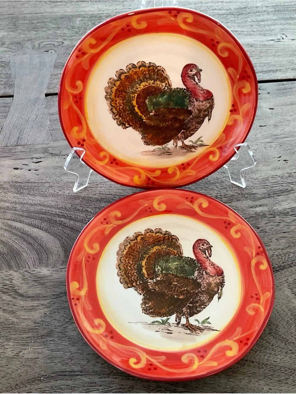 Maxcera Royal Turkey Ceramic 8-1/4” in Diameter Plates, Set of 2